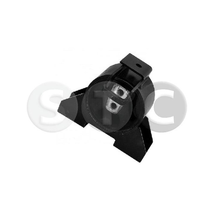 Variklio montavimas STC T454319