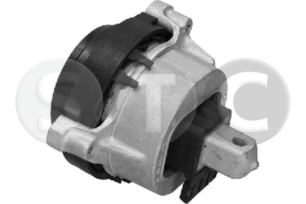 Variklio montavimas STC T454333