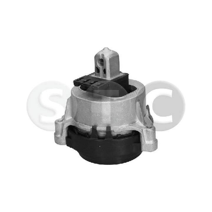 Variklio montavimas STC T454334