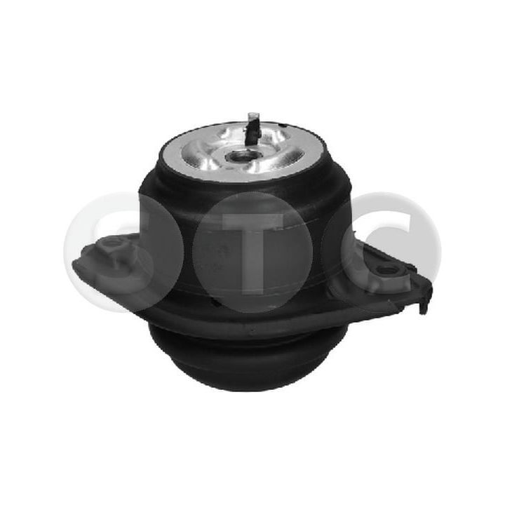 Variklio montavimas STC T454336