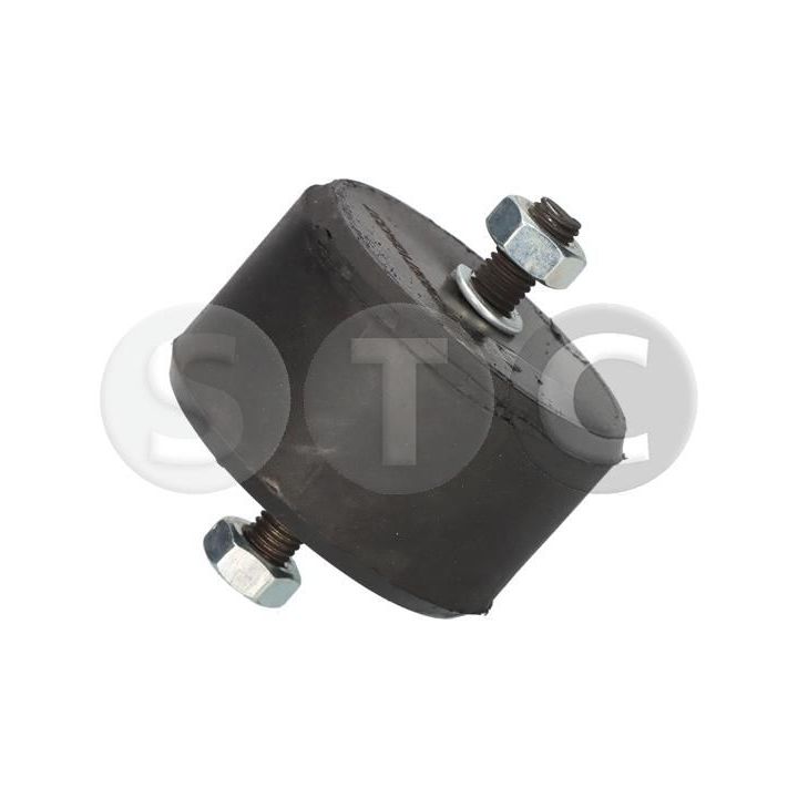 Variklio montavimas STC T454337