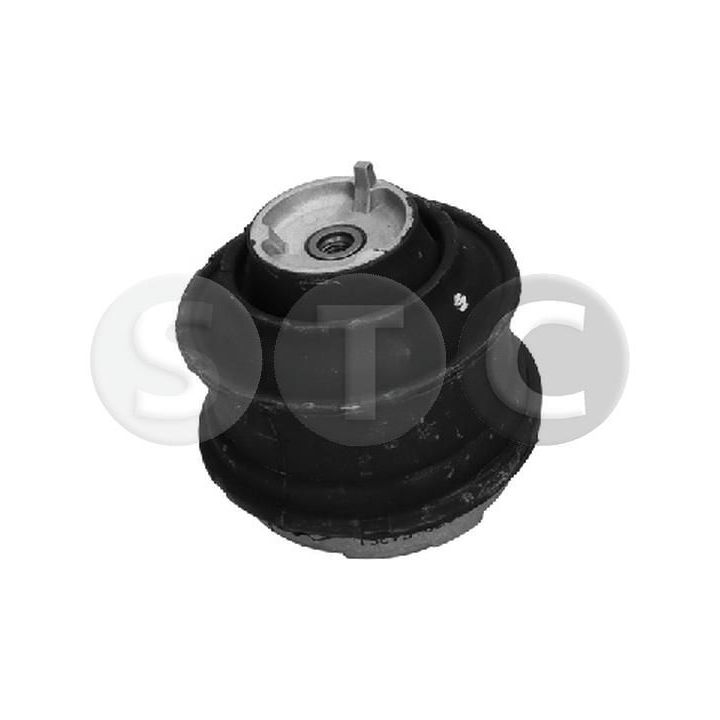 Variklio montavimas STC T454361