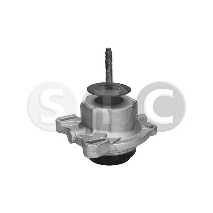 Variklio montavimas STC T454365