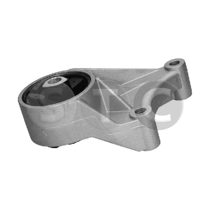 Variklio montavimas STC T454368