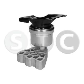 Variklio montavimas STC T454369