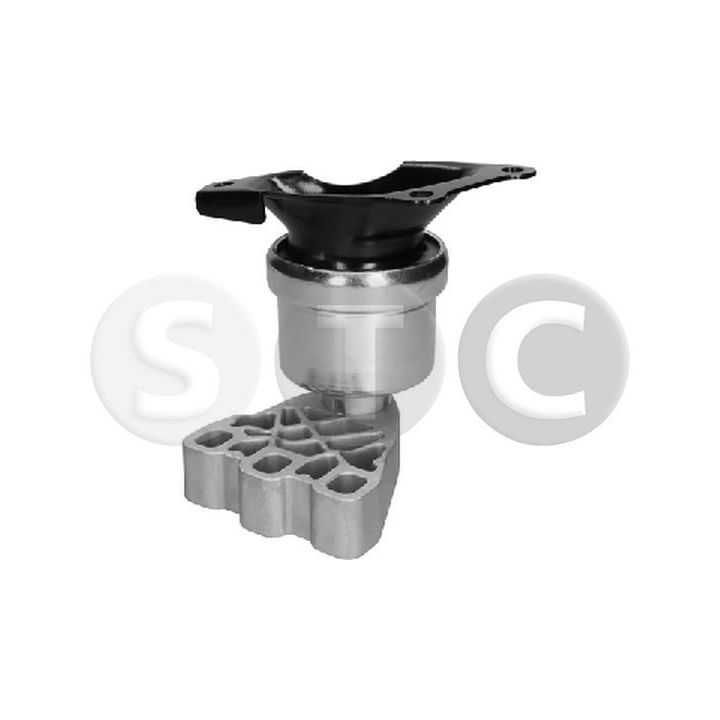 Variklio montavimas STC T454369