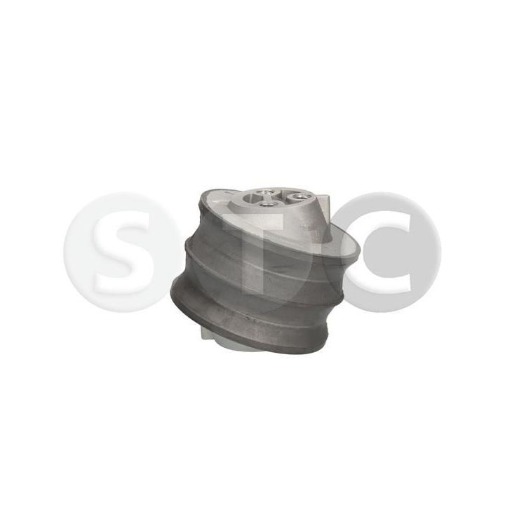 Variklio montavimas STC T454374