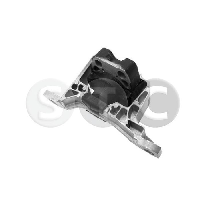 Variklio montavimas STC T454376