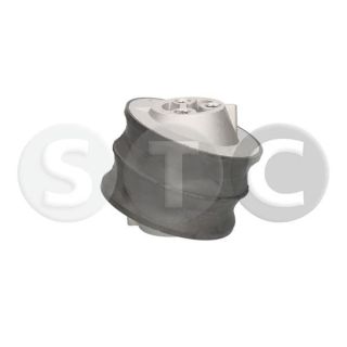 Variklio montavimas STC T454395