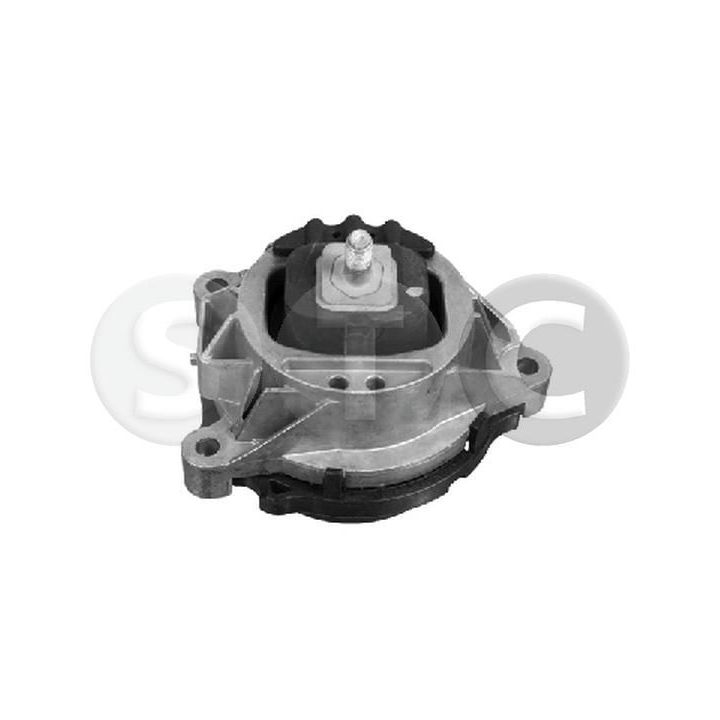 Variklio montavimas STC T454396