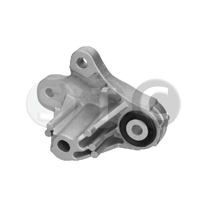 Variklio montavimas STC T454404