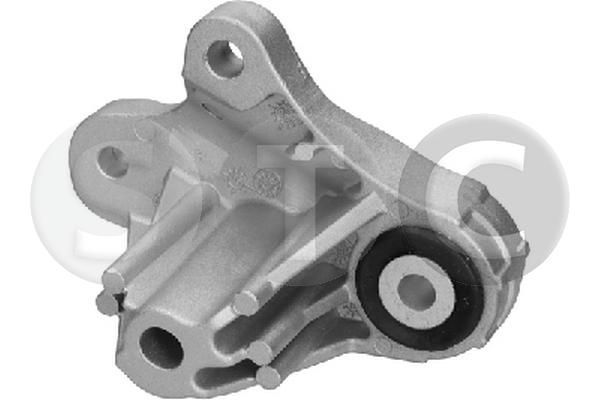 Variklio montavimas STC T454404