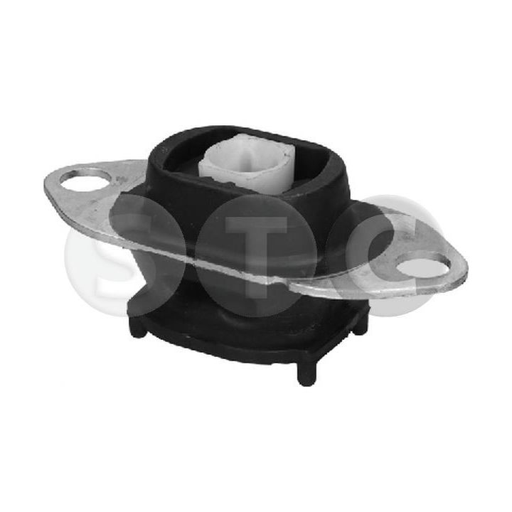 Variklio montavimas STC T454426