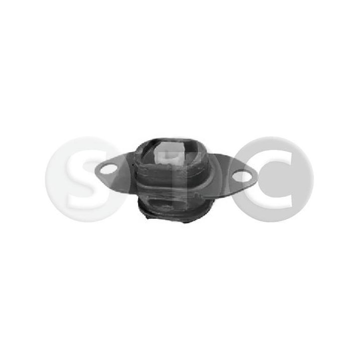 Variklio montavimas STC T454462