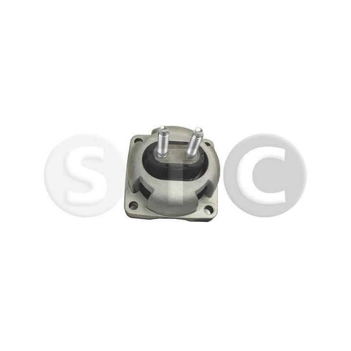 Variklio montavimas STC T454466