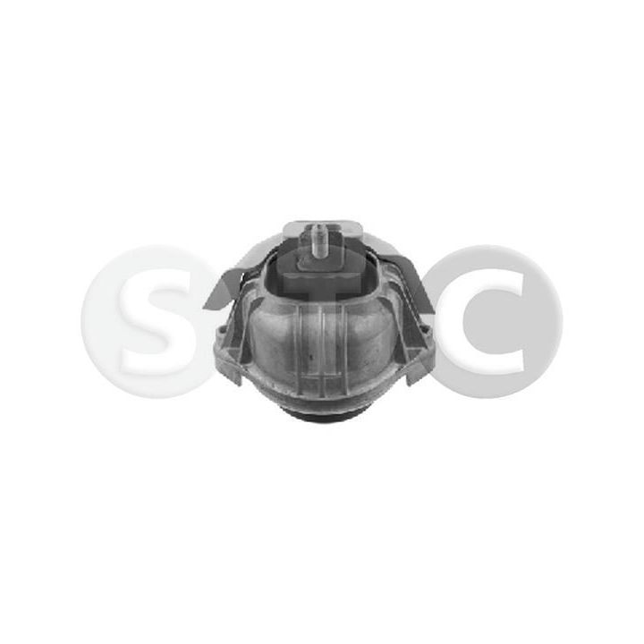 Variklio montavimas STC T454469