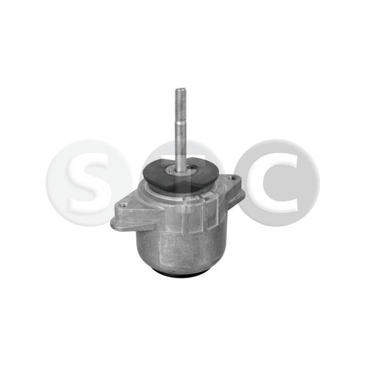 Variklio montavimas STC T454505