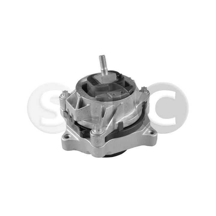 Variklio montavimas STC T454524
