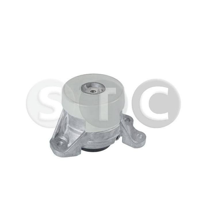 Variklio montavimas STC T454548