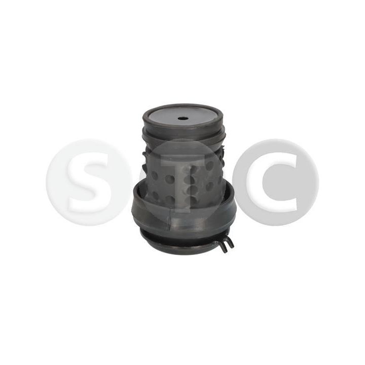 Variklio montavimas STC T454564