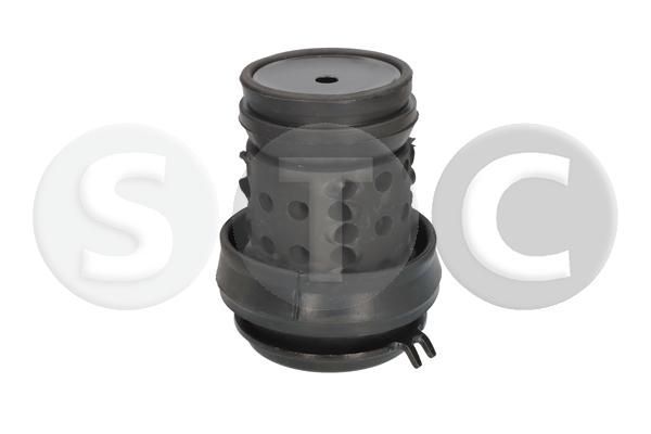 Variklio montavimas STC T454564