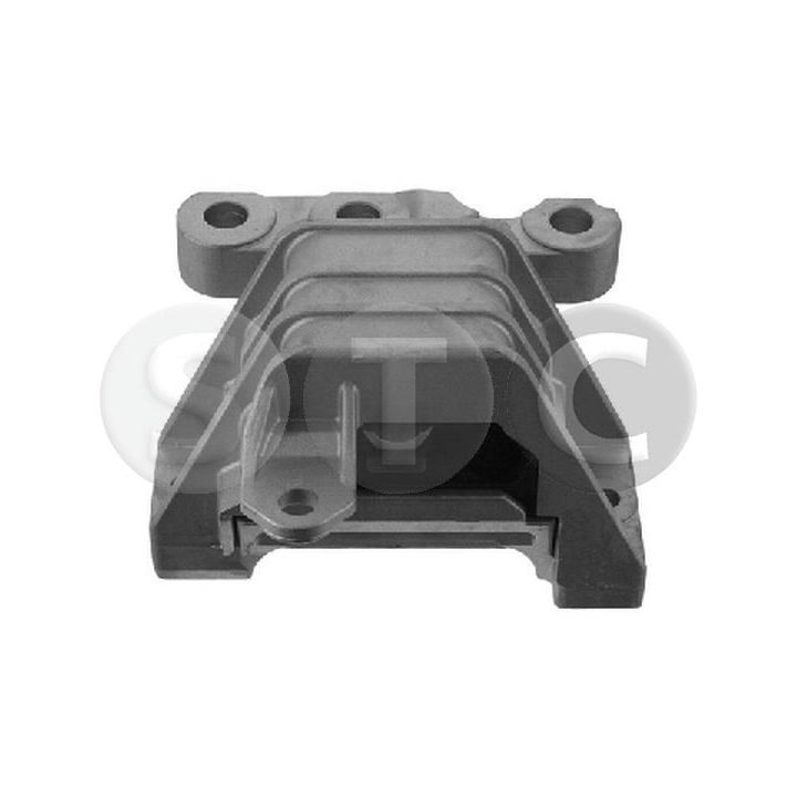 Variklio montavimas STC T454566