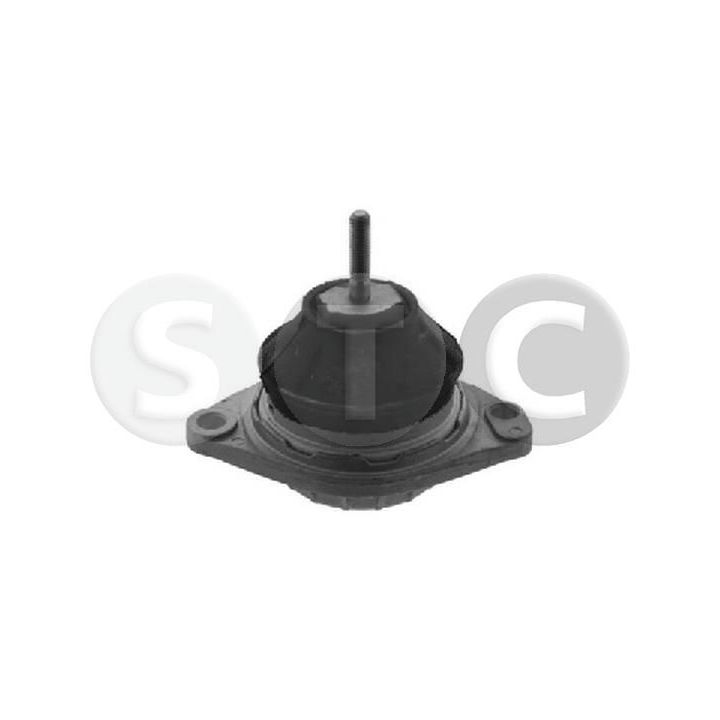 Variklio montavimas STC T454582