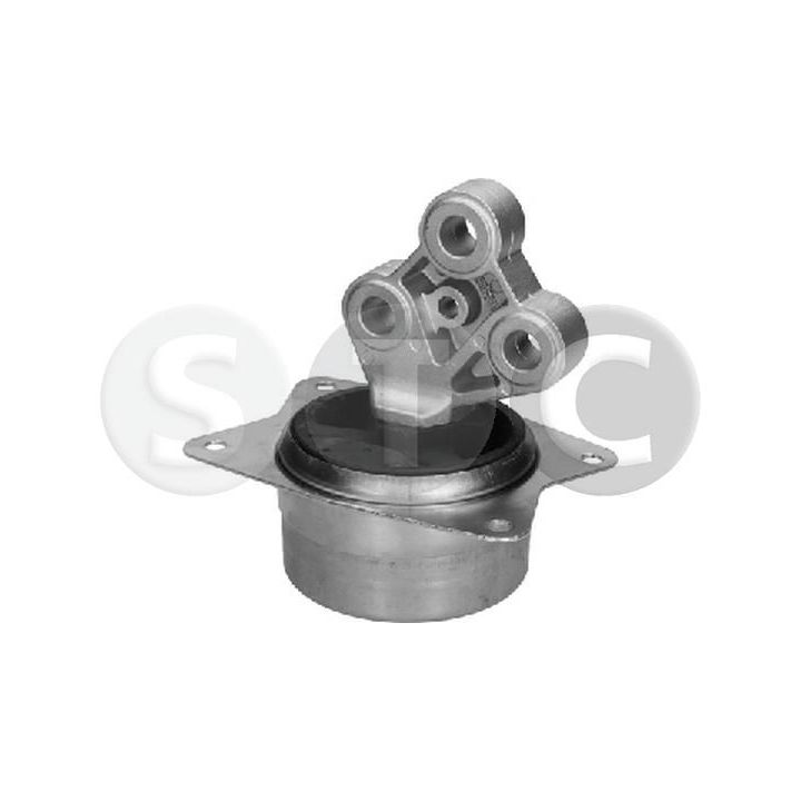 Variklio montavimas STC T454605