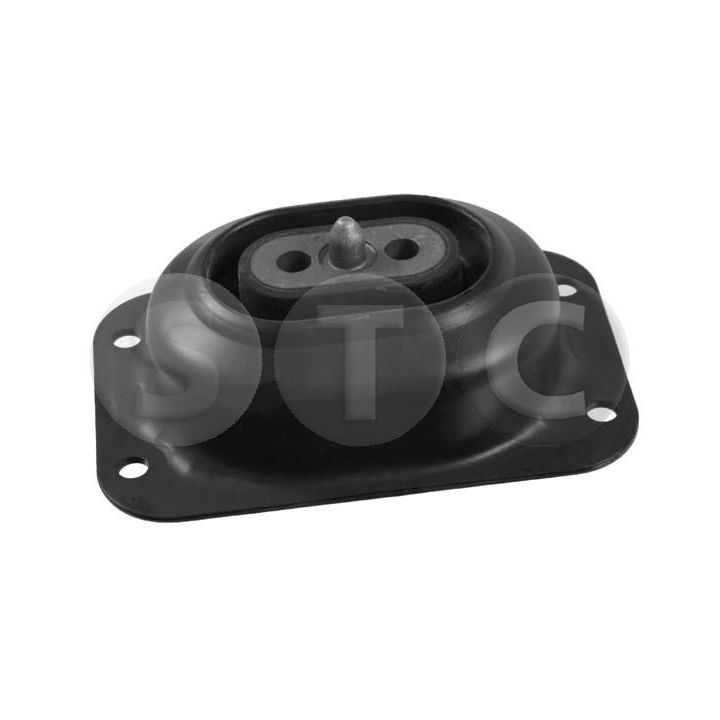 Variklio montavimas STC T454610