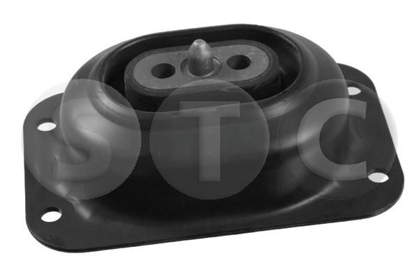 Variklio montavimas STC T454610