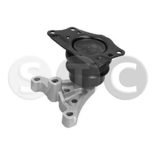 Variklio montavimas STC T454616