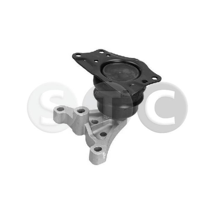 Variklio montavimas STC T454616