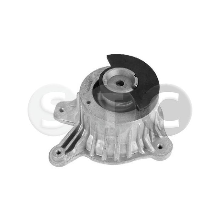 Variklio montavimas STC T454636