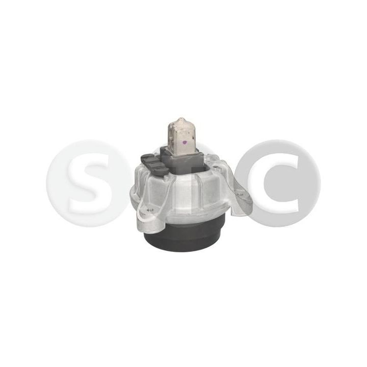 Variklio montavimas STC T454702