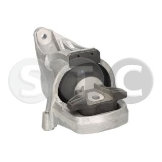 Variklio montavimas STC T454721