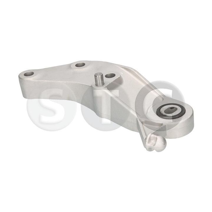 Variklio montavimas STC T454722