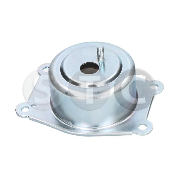 Variklio montavimas STC T454723