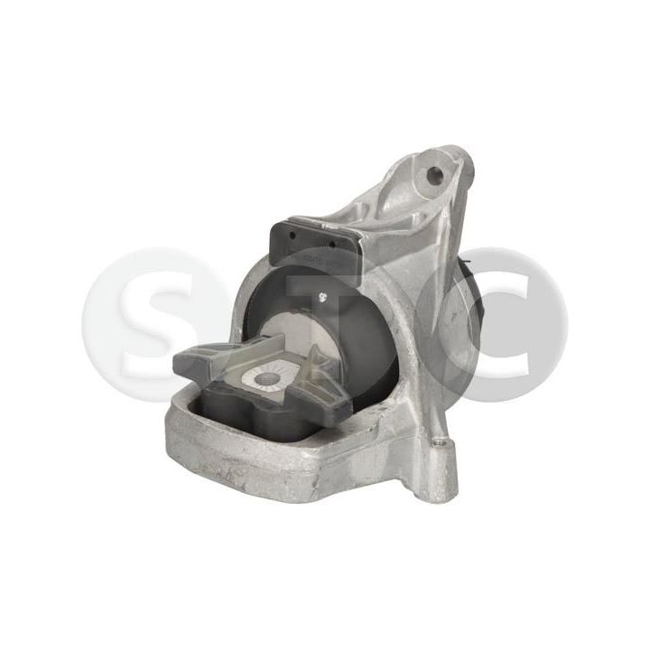 Variklio montavimas STC T454724