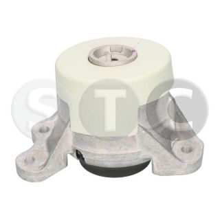 Variklio montavimas STC T454725