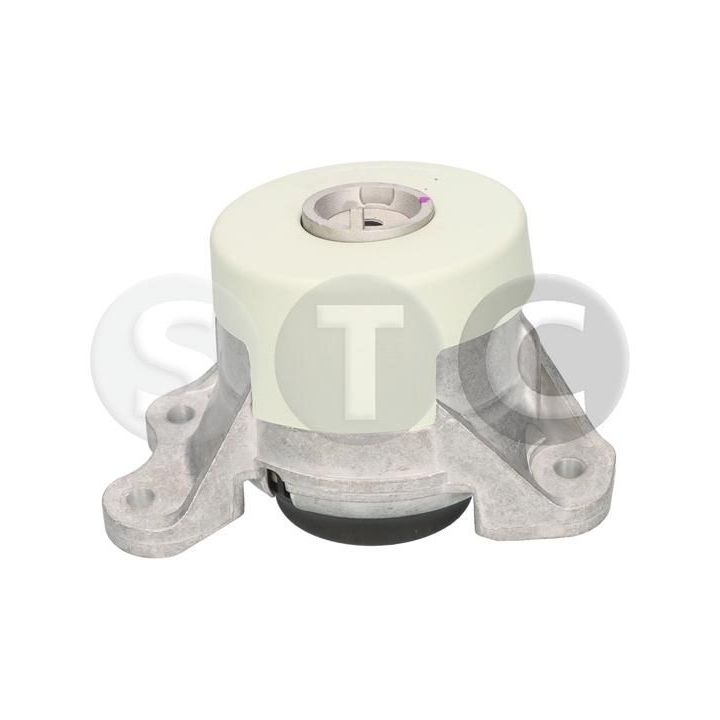 Variklio montavimas STC T454725