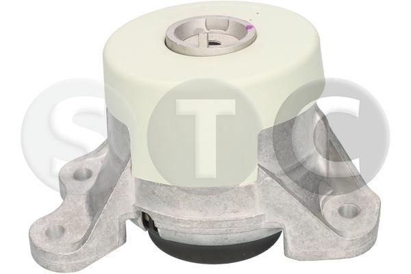 Variklio montavimas STC T454725