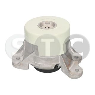 Variklio montavimas STC T454730