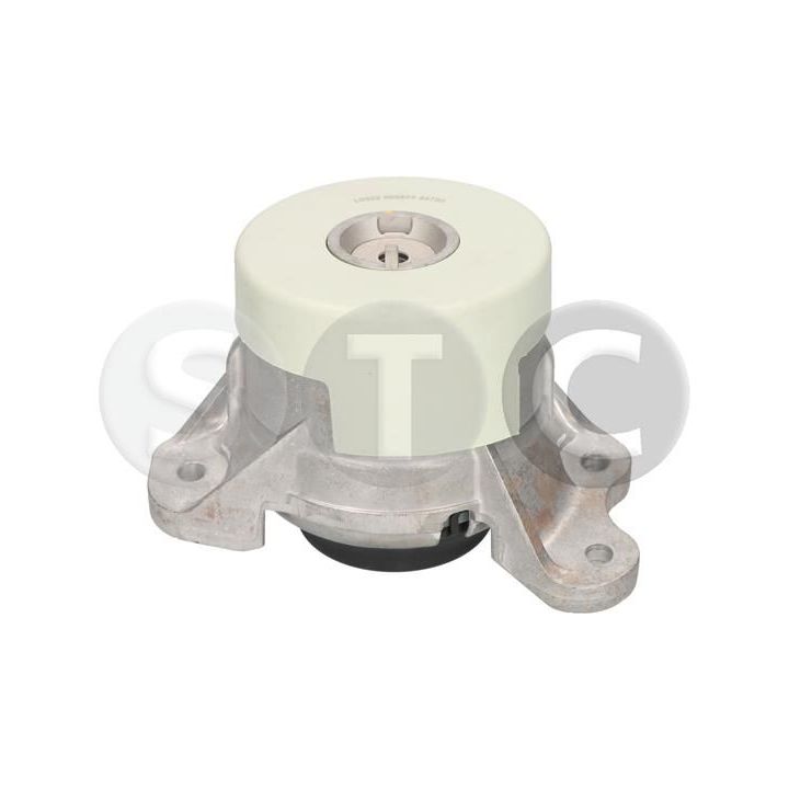 Variklio montavimas STC T454730