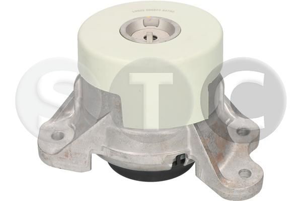 Variklio montavimas STC T454730