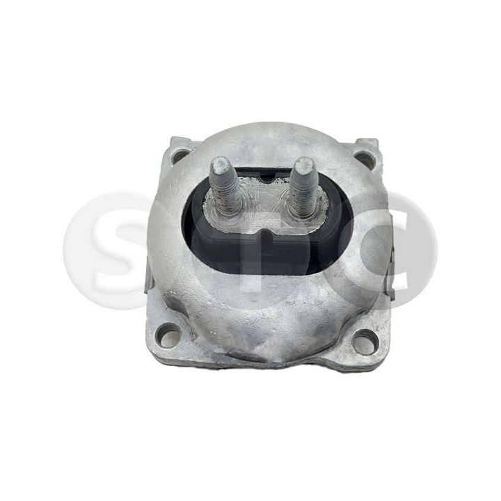 Variklio montavimas STC T454734