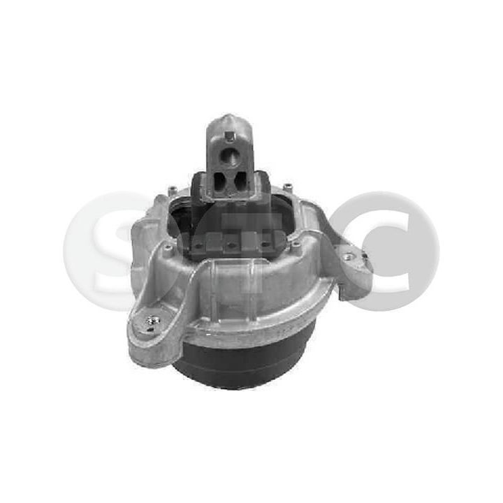 Variklio montavimas STC T454738