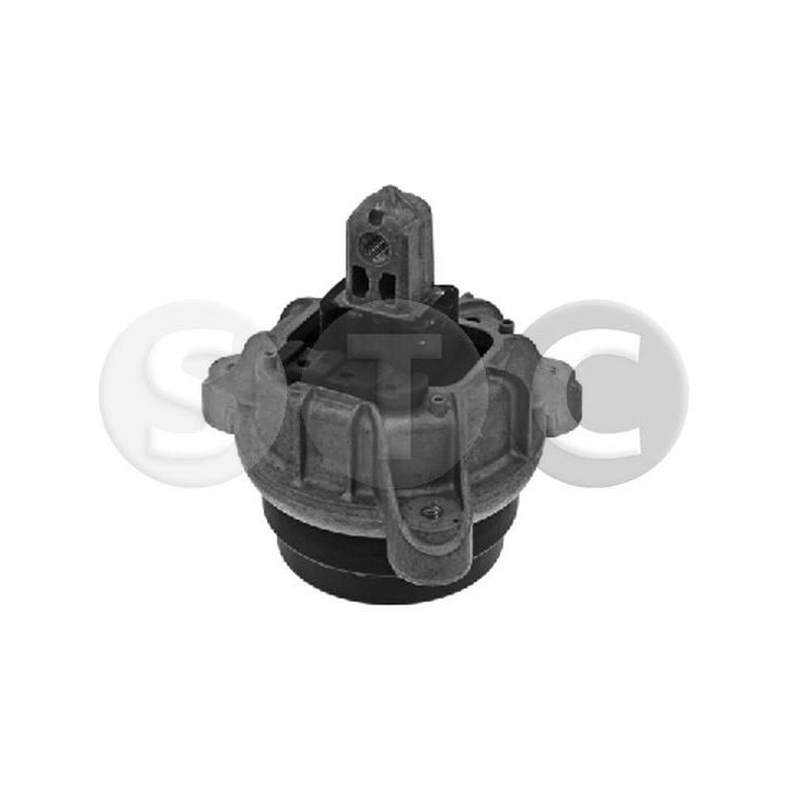 Variklio montavimas STC T454739