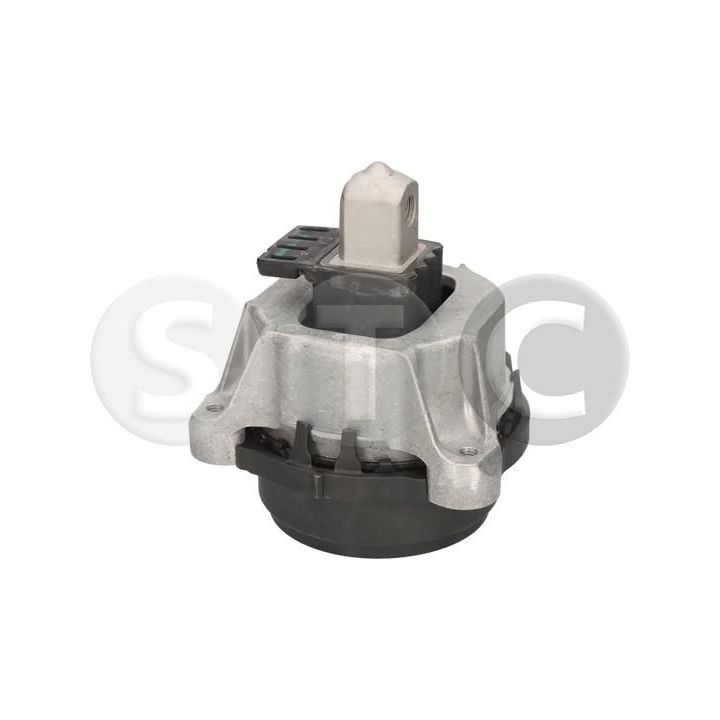 Variklio montavimas STC T454931