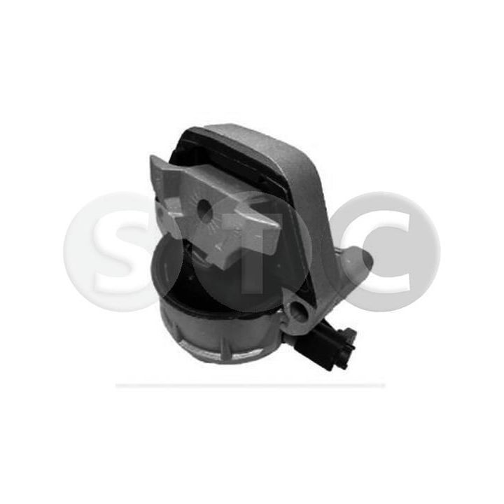 Variklio montavimas STC T455397