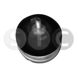 Variklio montavimas STC T456042